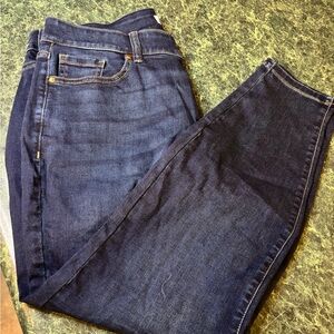 Lane Bryant Indigo Denim Jeans